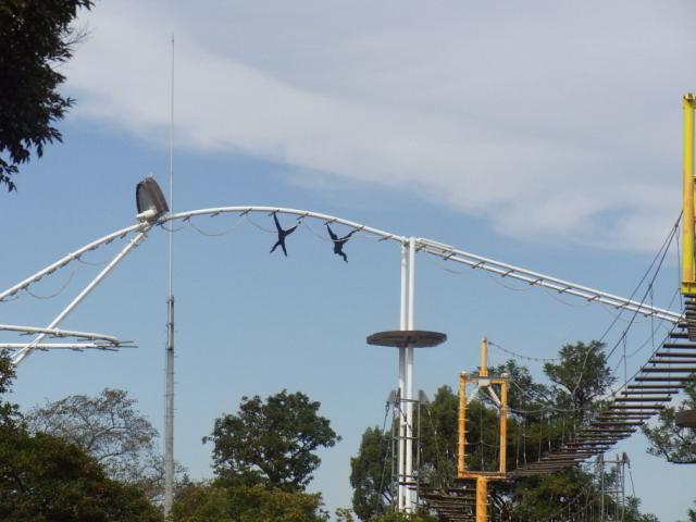 a0091907_139209.jpg