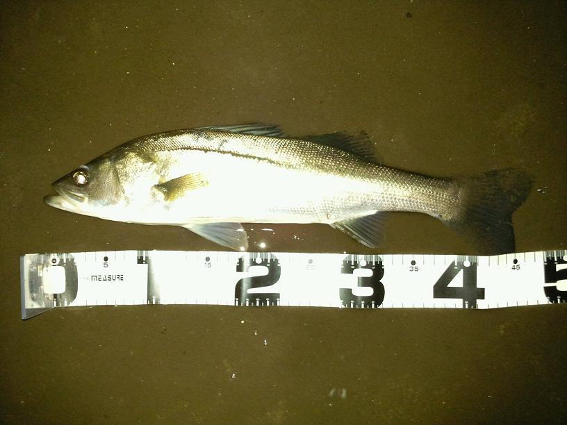 c0209312_11127100.jpg
