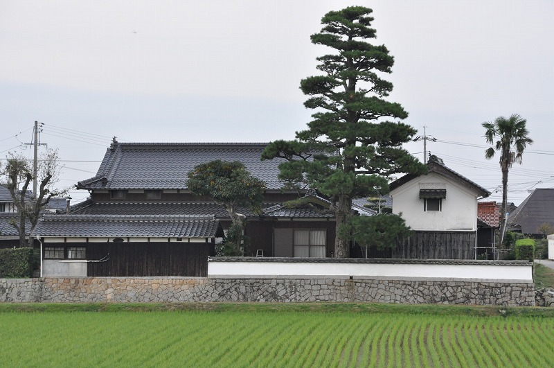 f0213613_22482866.jpg