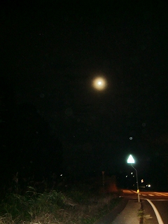 b0073616_21221138.jpg