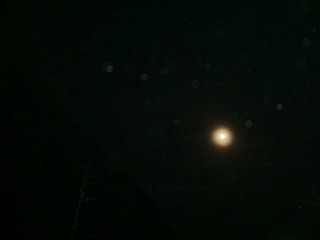 b0073616_21235574.jpg