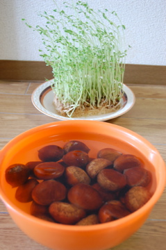 c0111017_168451.jpg