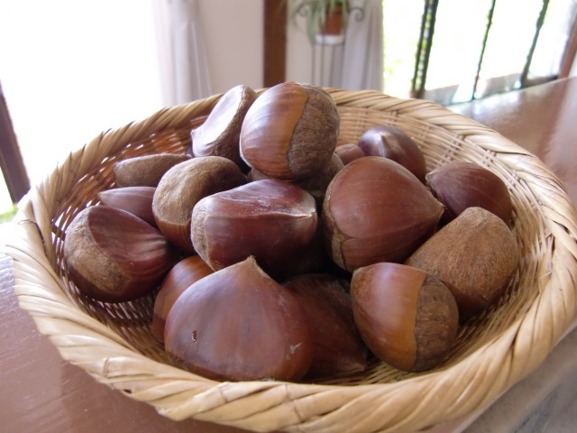 c0220724_2118687.jpg