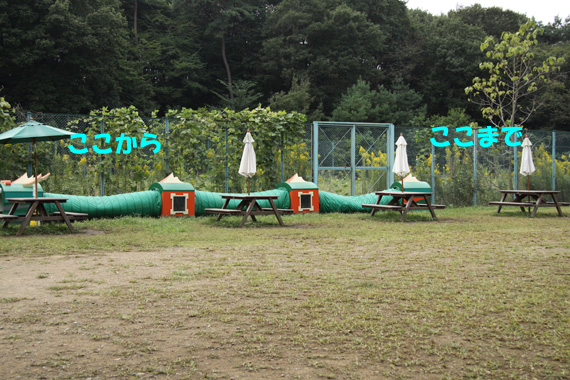 e0071225_16501886.jpg