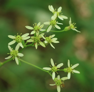 c0104227_22561430.jpg