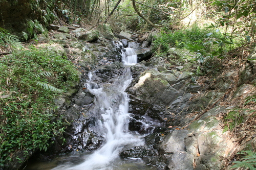 e0033229_2047721.jpg