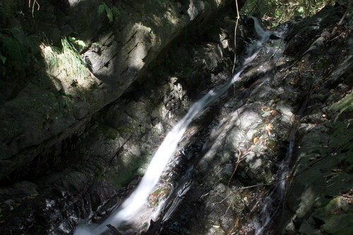 e0033229_2113377.jpg