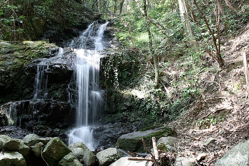 e0033229_21134244.jpg