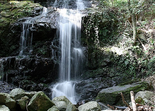 e0033229_21222044.jpg
