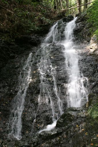 e0033229_2194762.jpg