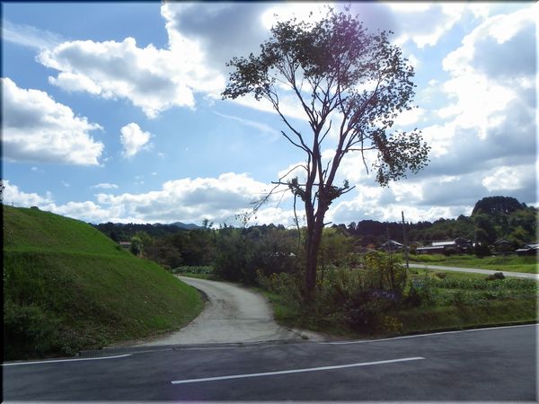 d0027244_12172472.jpg