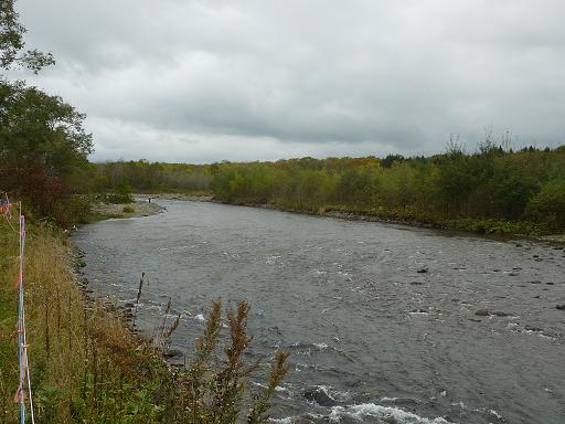d0182245_6354441.jpg