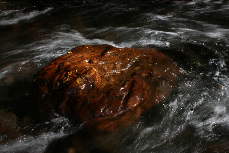 b0029350_2354482.jpg