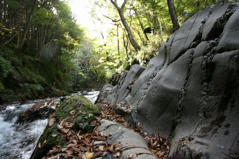 b0029350_2382316.jpg