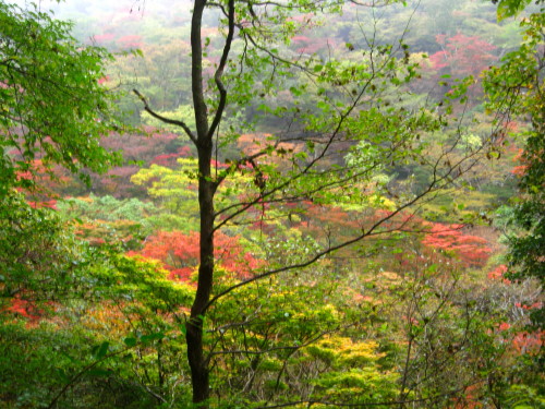 c0179351_20375480.jpg