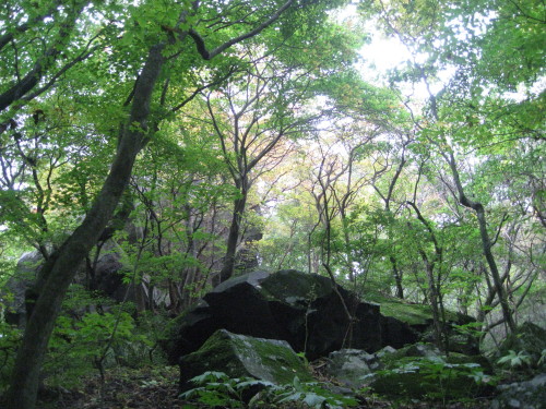 c0179351_2037590.jpg
