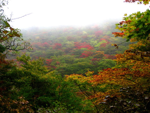 c0179351_20395378.jpg