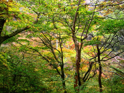 c0179351_21201118.jpg