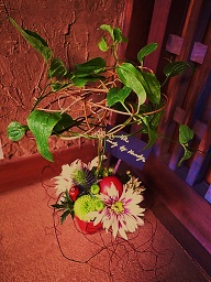 b0204354_15305126.jpg