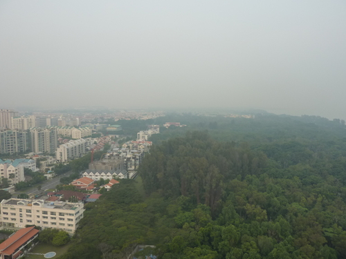 b0183957_15565562.jpg