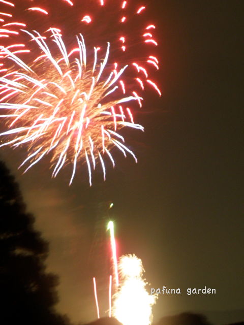 e0184558_2137177.jpg