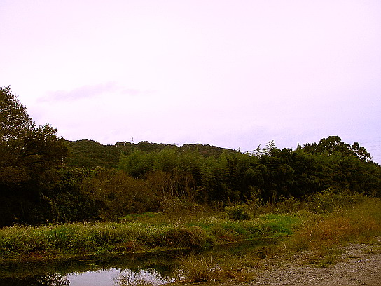 f0084561_1737669.jpg