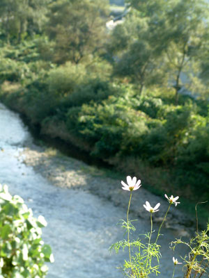 c0050264_1310910.jpg