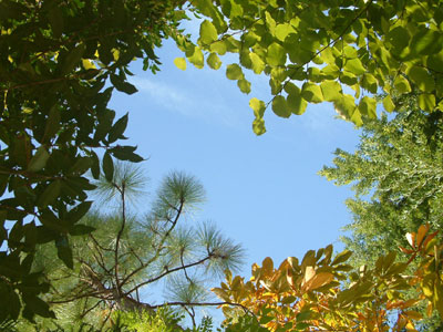 c0050264_13152186.jpg
