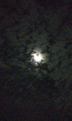 a0143465_2038581.jpg