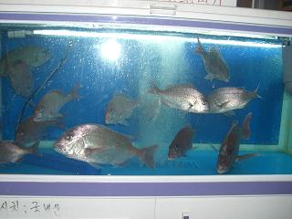 c0098871_1317957.jpg