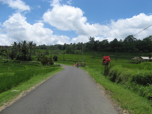 c0126976_1945484.jpg