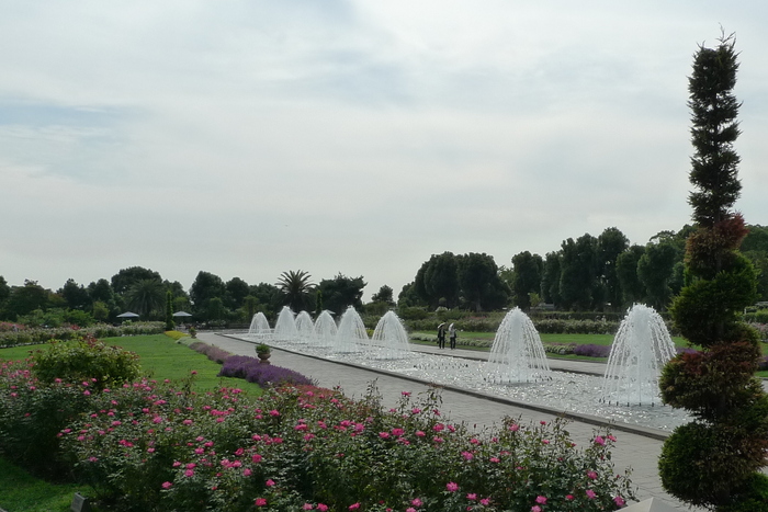 e0024081_1441236.jpg