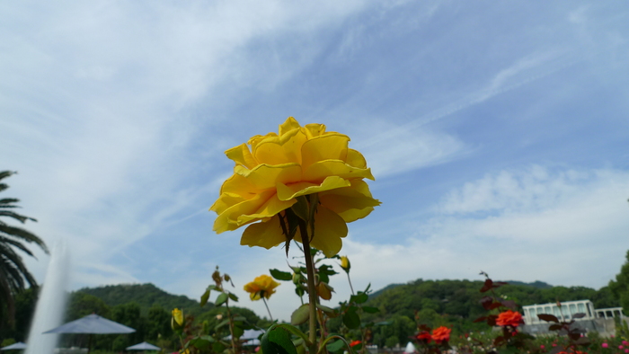 e0024081_1443592.jpg