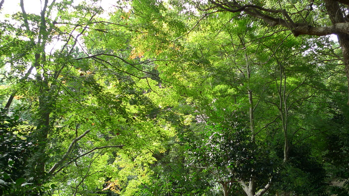 e0024081_14451973.jpg