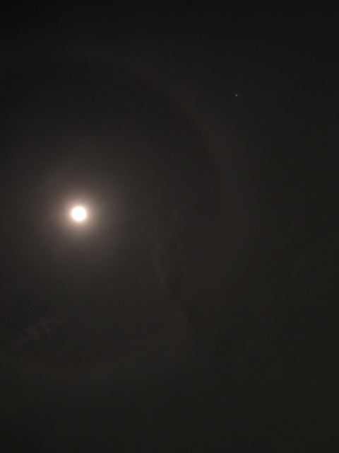 e0132881_1345699.jpg