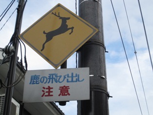 b0050787_03241.jpg
