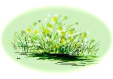 c0132387_0553692.jpg