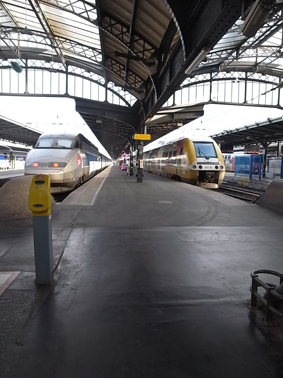 c0018092_332637.jpg