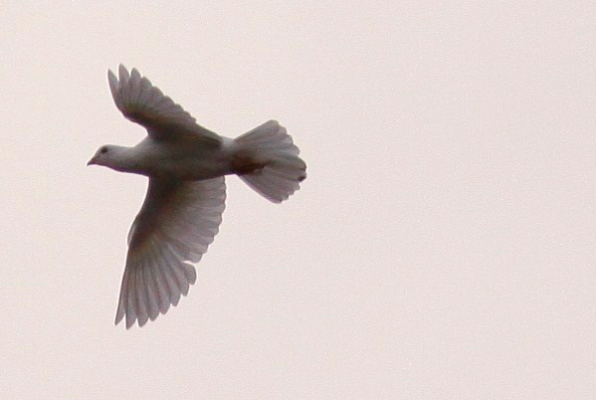 d0133693_22403574.jpg