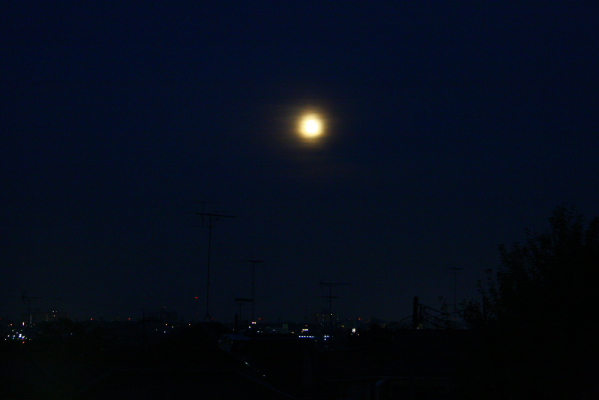 d0133693_22404838.jpg