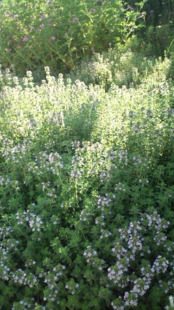 b0207995_20344467.jpg
