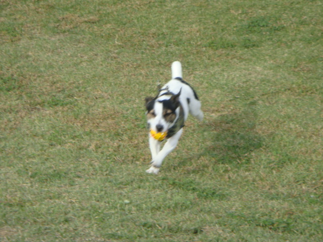 c0191597_11104577.jpg