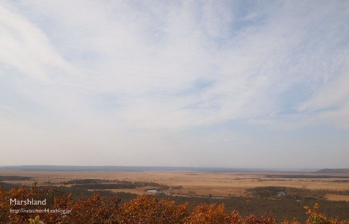 d0124100_2032532.jpg