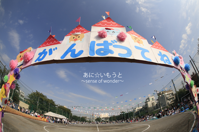 a0112402_1736436.jpg