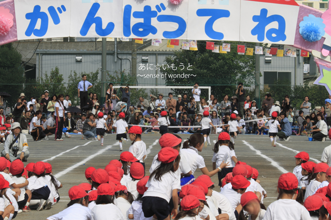 a0112402_17431434.jpg