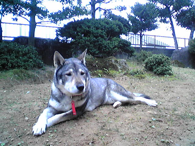 f0079202_1762713.jpg