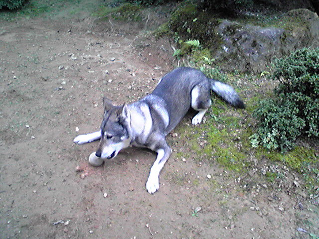 f0079202_1762719.jpg