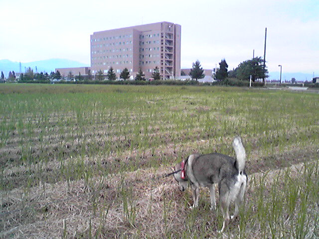 f0079202_1762745.jpg