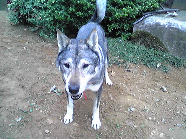 f0079202_1762781.jpg