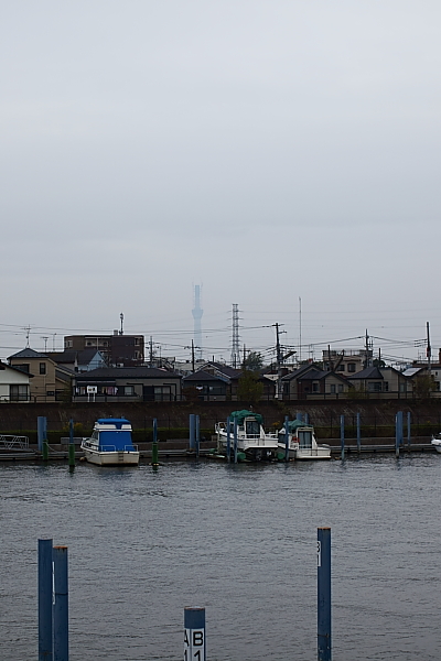 e0117503_162281.jpg